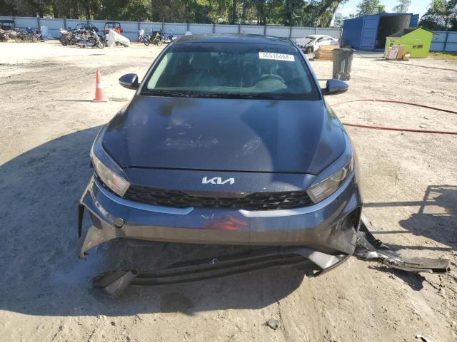 2022 Kia Forte Fe VIN: 3KPF24AD0NE467074 Lot: 55516464