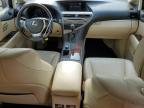 LEXUS RX 350 photo