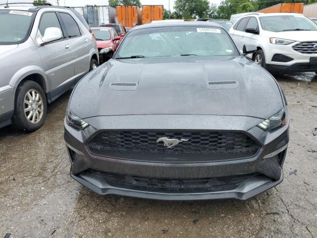 2019 FORD MUSTANG - 1FA6P8TH3K5101552