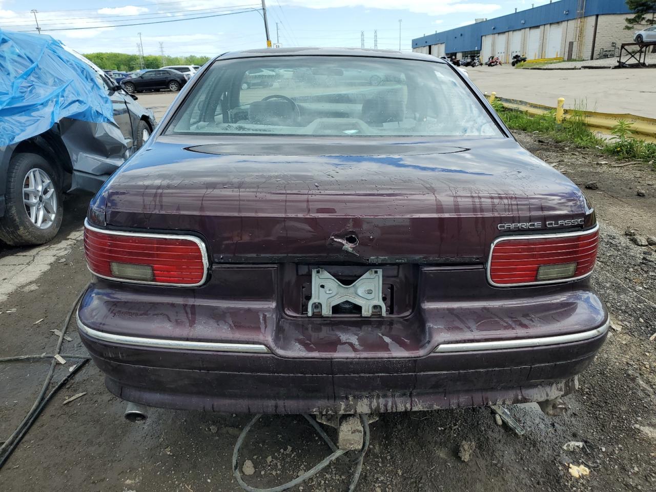 1G1BL52P7TR189908 1996 Chevrolet Caprice / Impala Classic Ss