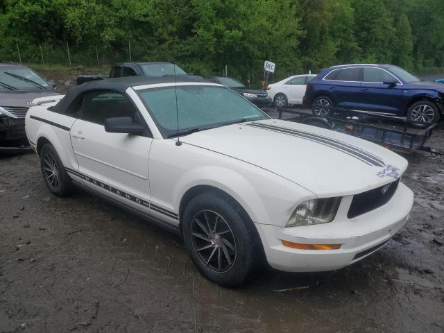 2006 Ford Mustang VIN: 1ZVFT84NX65224861 Lot: 54453604