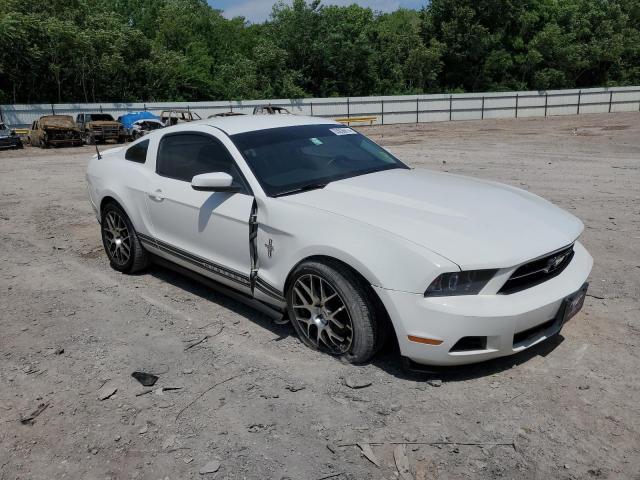 2010 Ford Mustang VIN: 1ZVBP8AN9A5105053 Lot: 55036874