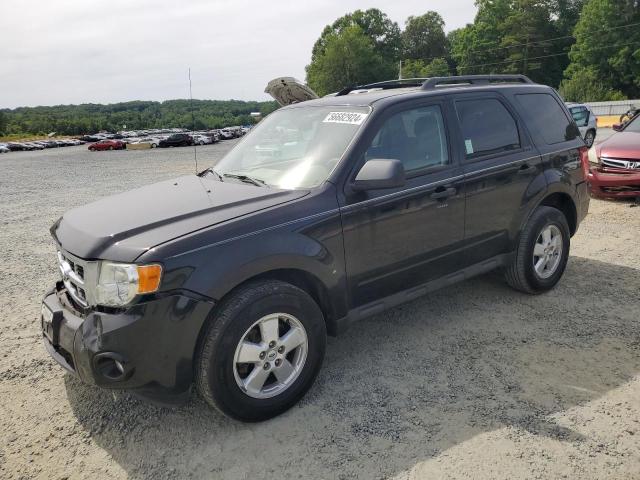Vin: 1fmcu0d78aka71389, lot: 56682924, ford escape xlt 2010 img_1