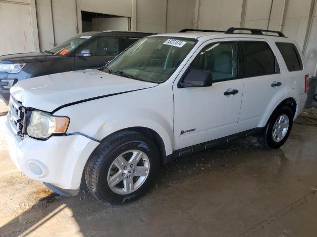 Lot #2508403936 2009 FORD ESCAPE HYB salvage car