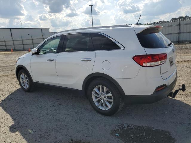 2017 Kia Sorento Lx VIN: 5XYPGDA52HG249546 Lot: 53664964