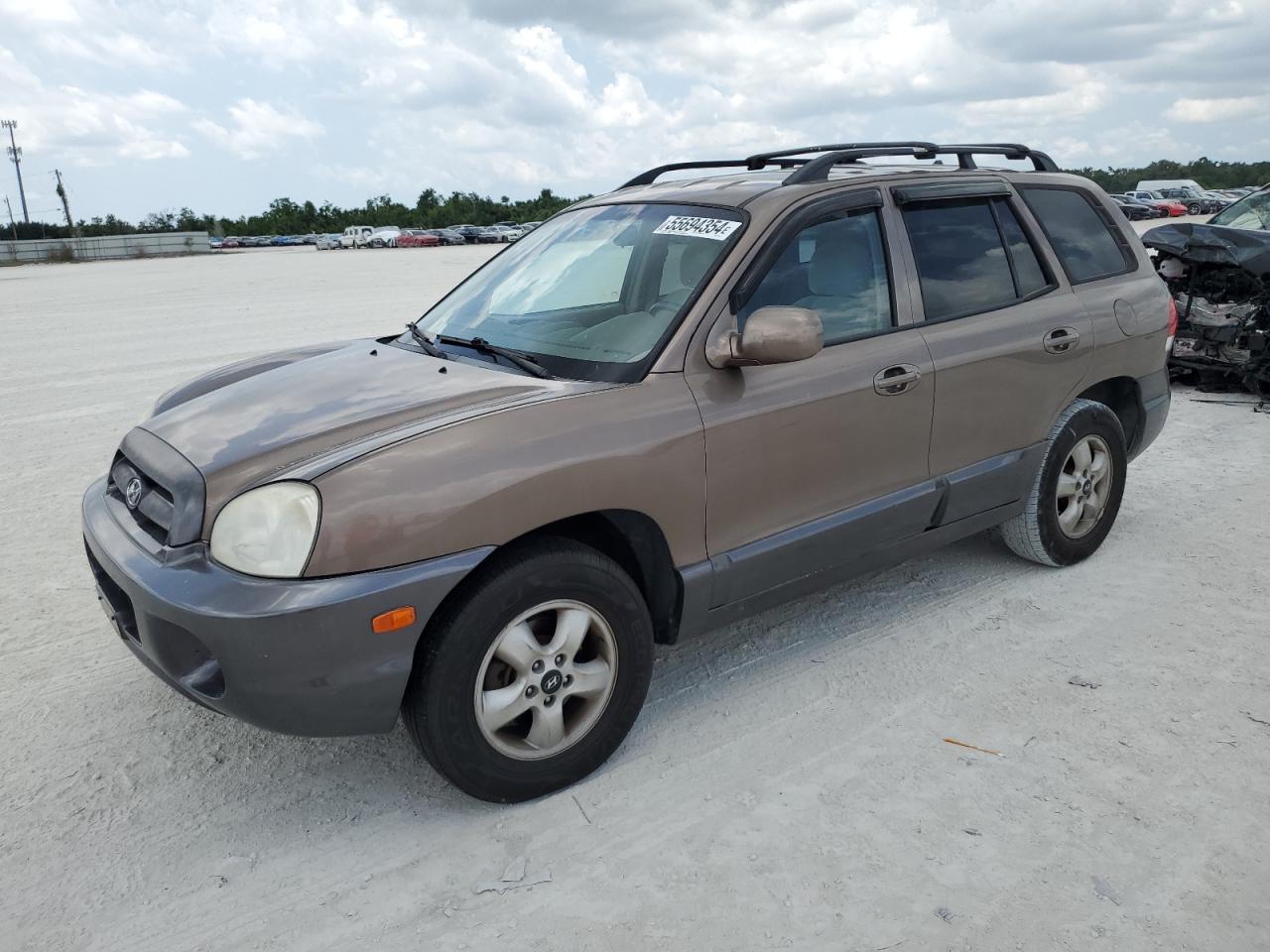 KM8SC13D35U953513 2005 Hyundai Santa Fe Gls