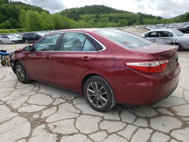 2016 TOYOTA CAMRY LE - 4T1BF1FK3GU548806