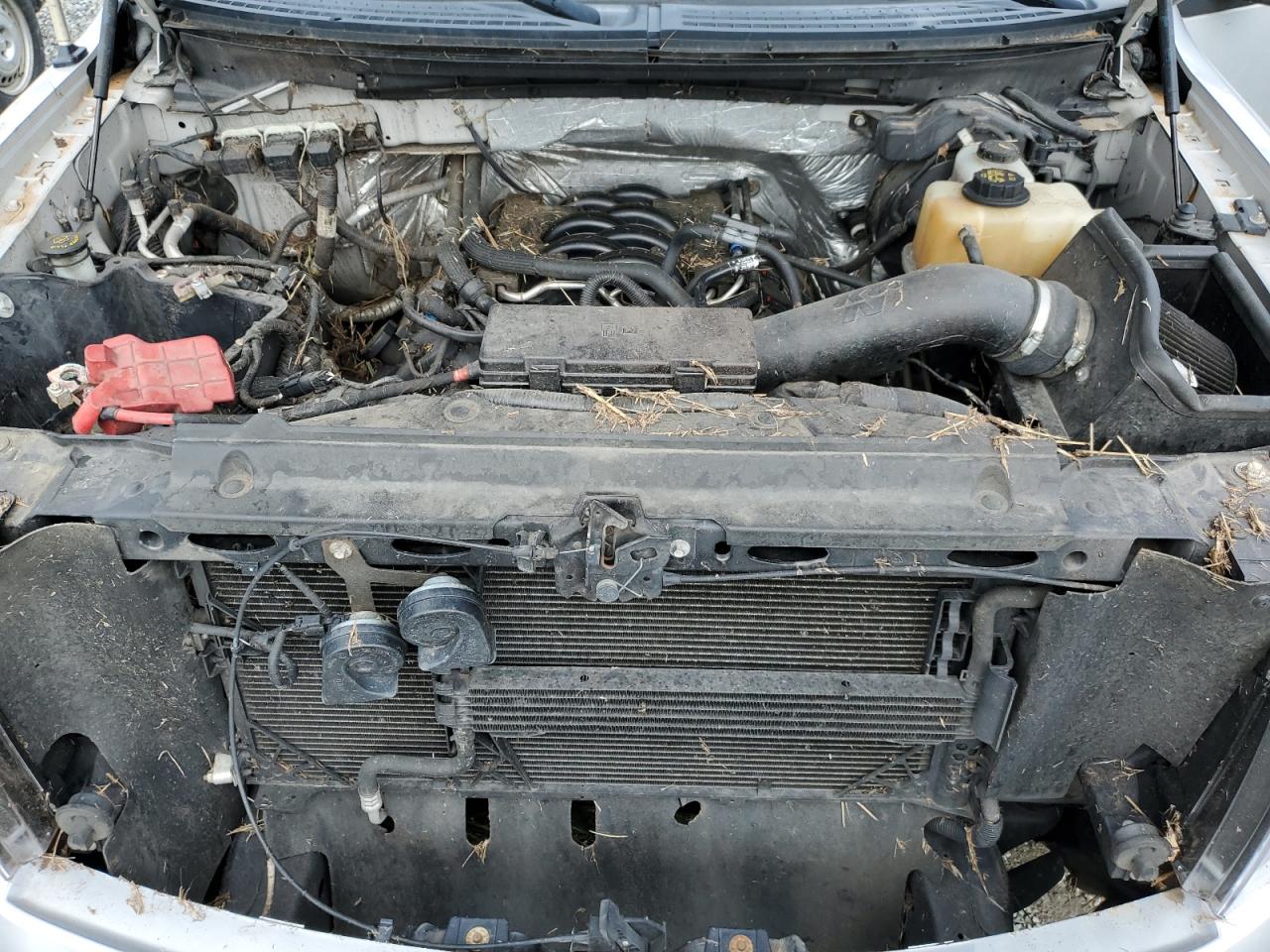 1FTFW1EF8BFA44758 2011 Ford F150 Supercrew