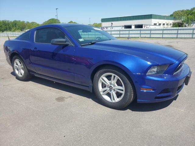 2014 Ford Mustang VIN: 1ZVBP8AM9E5317920 Lot: 56072164