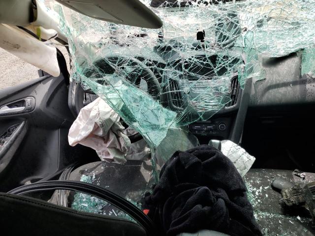 2016 Ford Focus Se VIN: 1FADP3KE9GL259821 Lot: 54342574