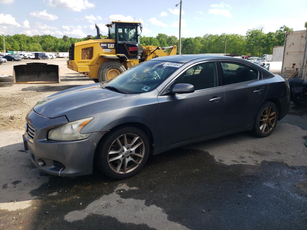 Lot #2954886167 2014 NISSAN MAXIMA S