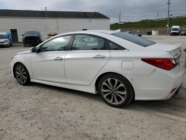  HYUNDAI SONATA 2014 Белый