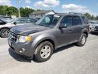 FORD ESCAPE XLT photo