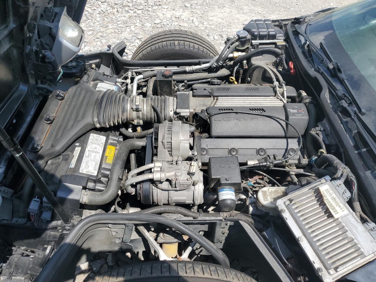 1G1YY22P8T5111672 1996 Chevrolet Corvette