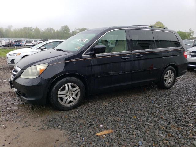 2006 Honda Odyssey Exl VIN: 5FNRL38746B448818 Lot: 52848944