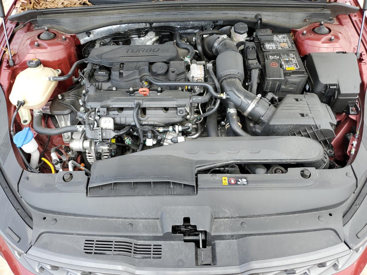 5XXG64J29RG242396 2024 Kia K5 Gt Line