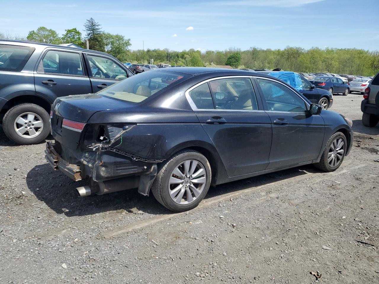 1HGCP2F79BA073987 2011 Honda Accord Ex