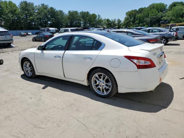 2011 Nissan Maxima S VIN: 1N4AA5AP0BC868954 Lot: 56139024