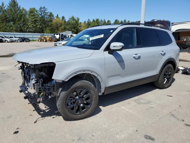 2024 Kia Telluride Sx VIN: 5XYP5DGC9RG447327 Lot: 53113184