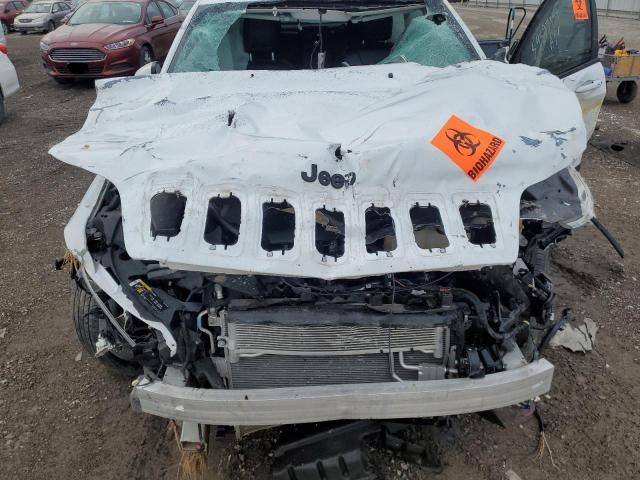 2020 Jeep Cherokee Latitude Plus VIN: 1C4PJMLX8LD617851 Lot: 54597344