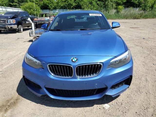 2016 BMW 228 Xi Sulev VIN: WBA1G9C50GV599679 Lot: 57418494