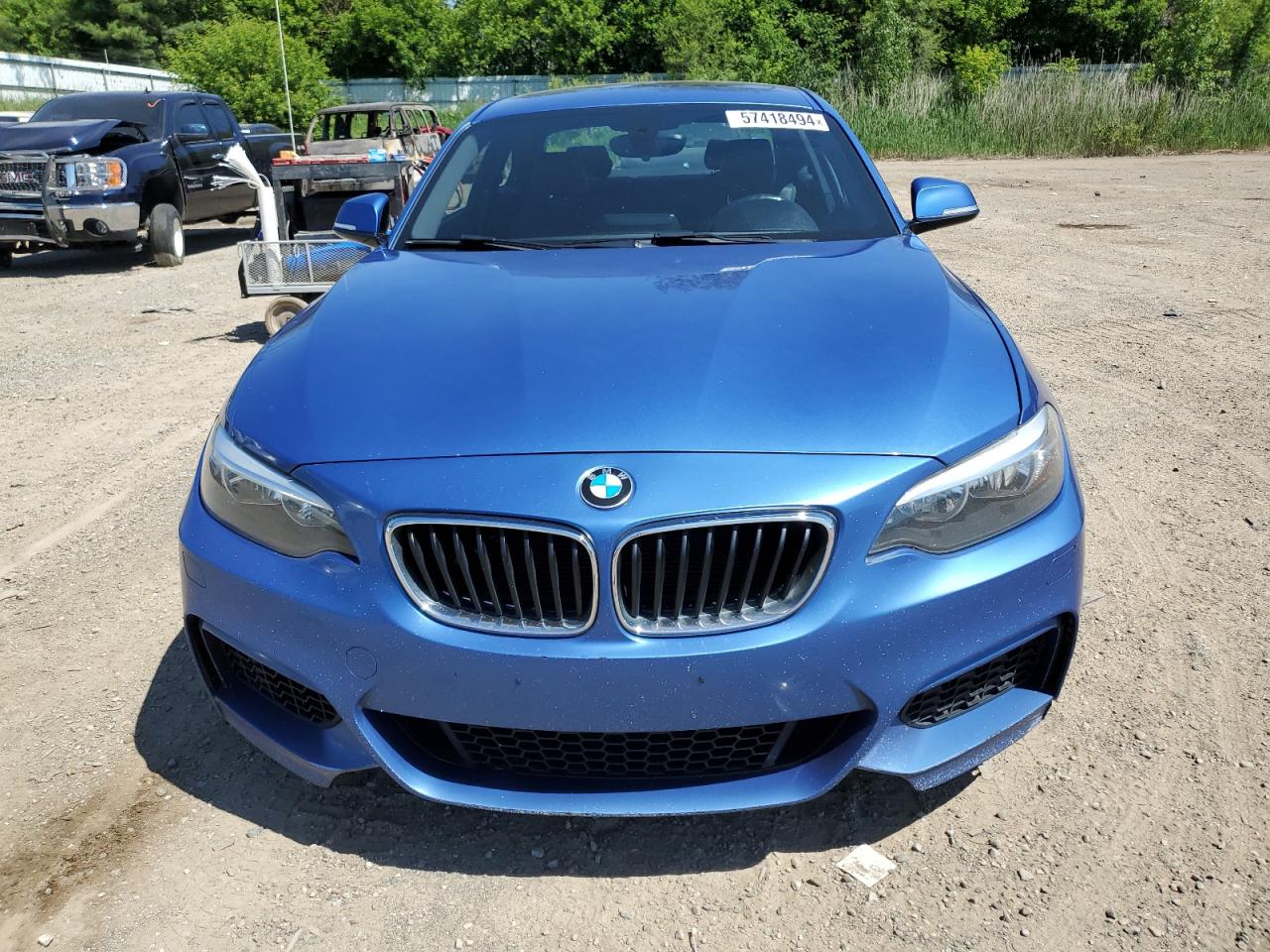 WBA1G9C50GV599679 2016 BMW 228 Xi Sulev