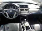 HONDA ACCORD SE photo