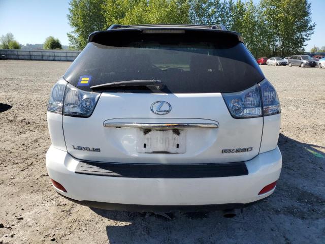 2004 Lexus Rx 330 VIN: JTJHA31U440021343 Lot: 54195744