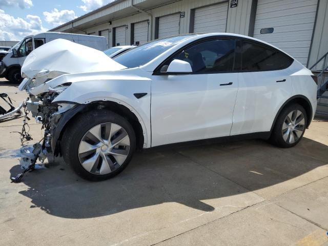 2023 TESLA MODEL Y #2989025534