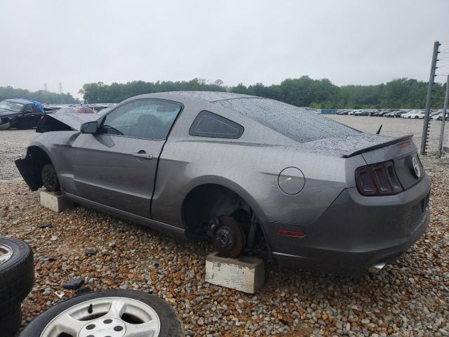 2013 Ford Mustang VIN: 1ZVBP8AM9D5213264 Lot: 51882044