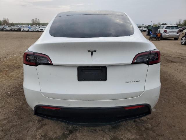 2023 Tesla Model Y VIN: 7SAYGDEE5PF585117 Lot: 54905784