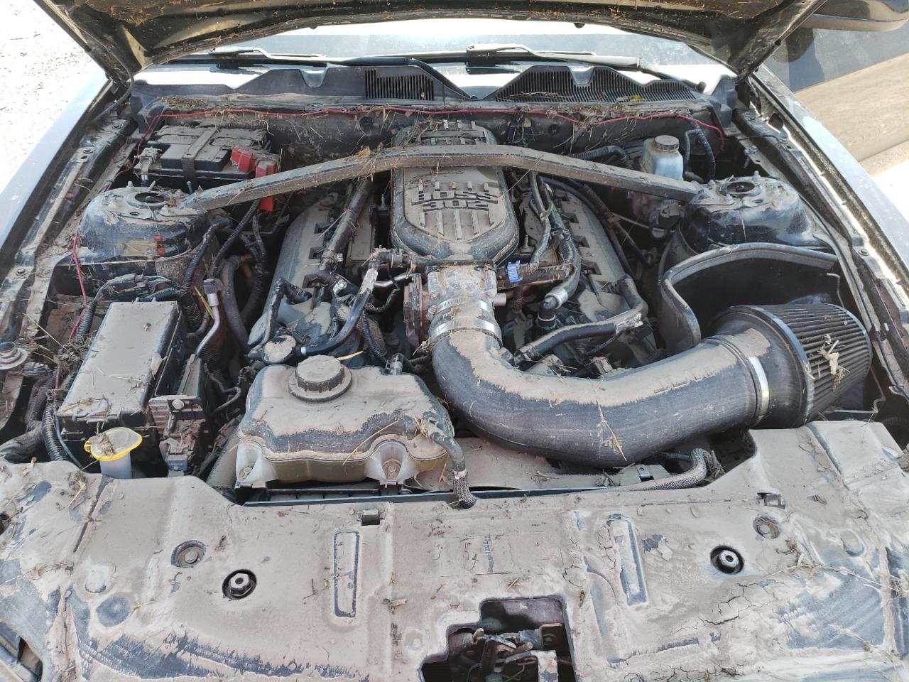 1ZVBP8CF6D5249637 2013 Ford Mustang Gt