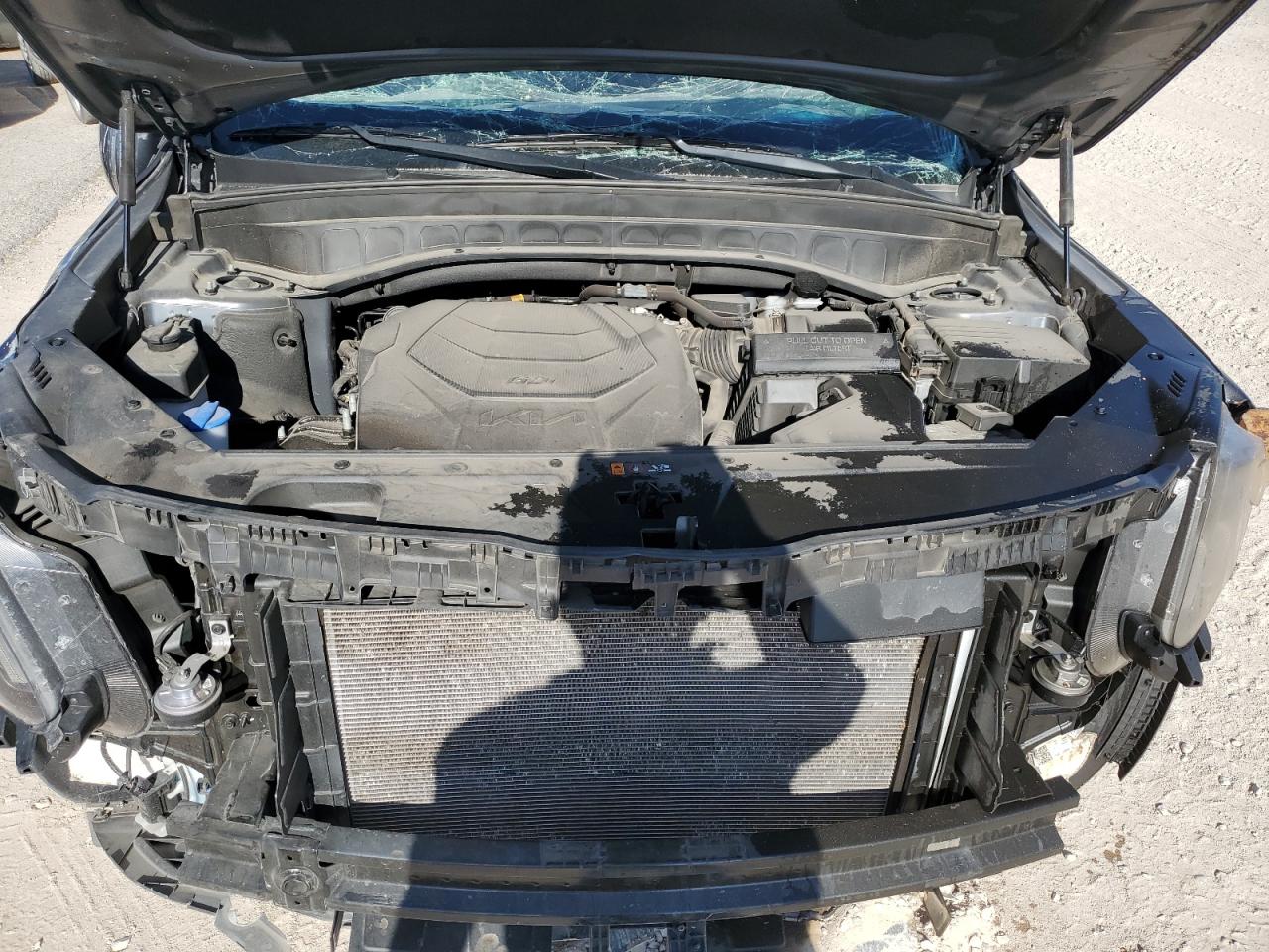 5XYP3DGC0PG369653 2023 Kia Telluride Ex