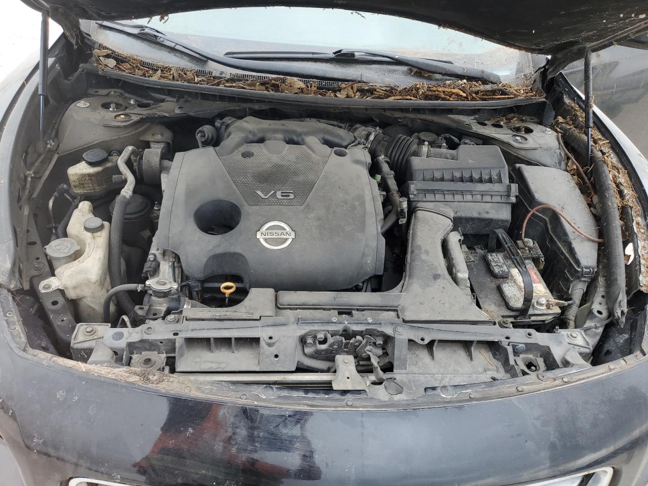 1N4AA5AP4EC445492 2014 Nissan Maxima S