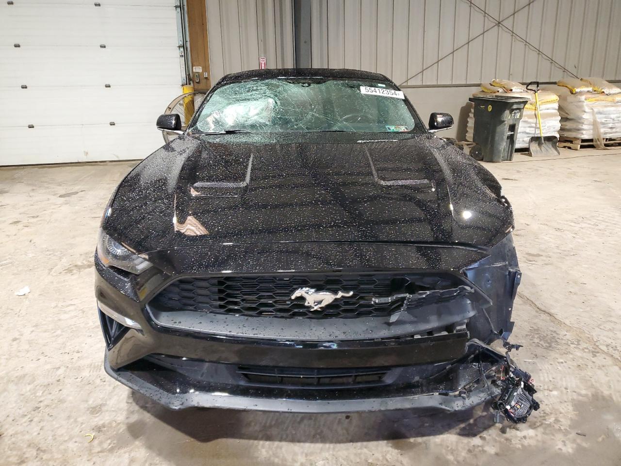 1FA6P8TH3K5116391 2019 Ford Mustang