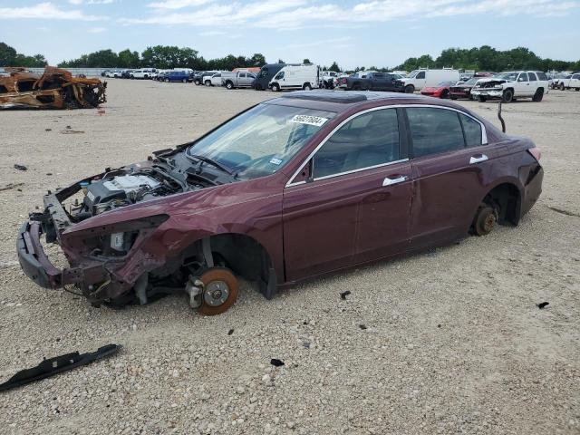 2011 Honda Accord Exl VIN: 1HGCP3F81BA009490 Lot: 56027604