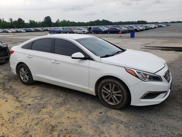 2016 Hyundai Sonata Se VIN: 5NPE24AF9GH339217 Lot: 55339564