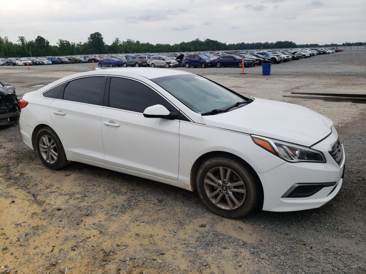 5NPE24AF9GH339217 2016 Hyundai Sonata Se