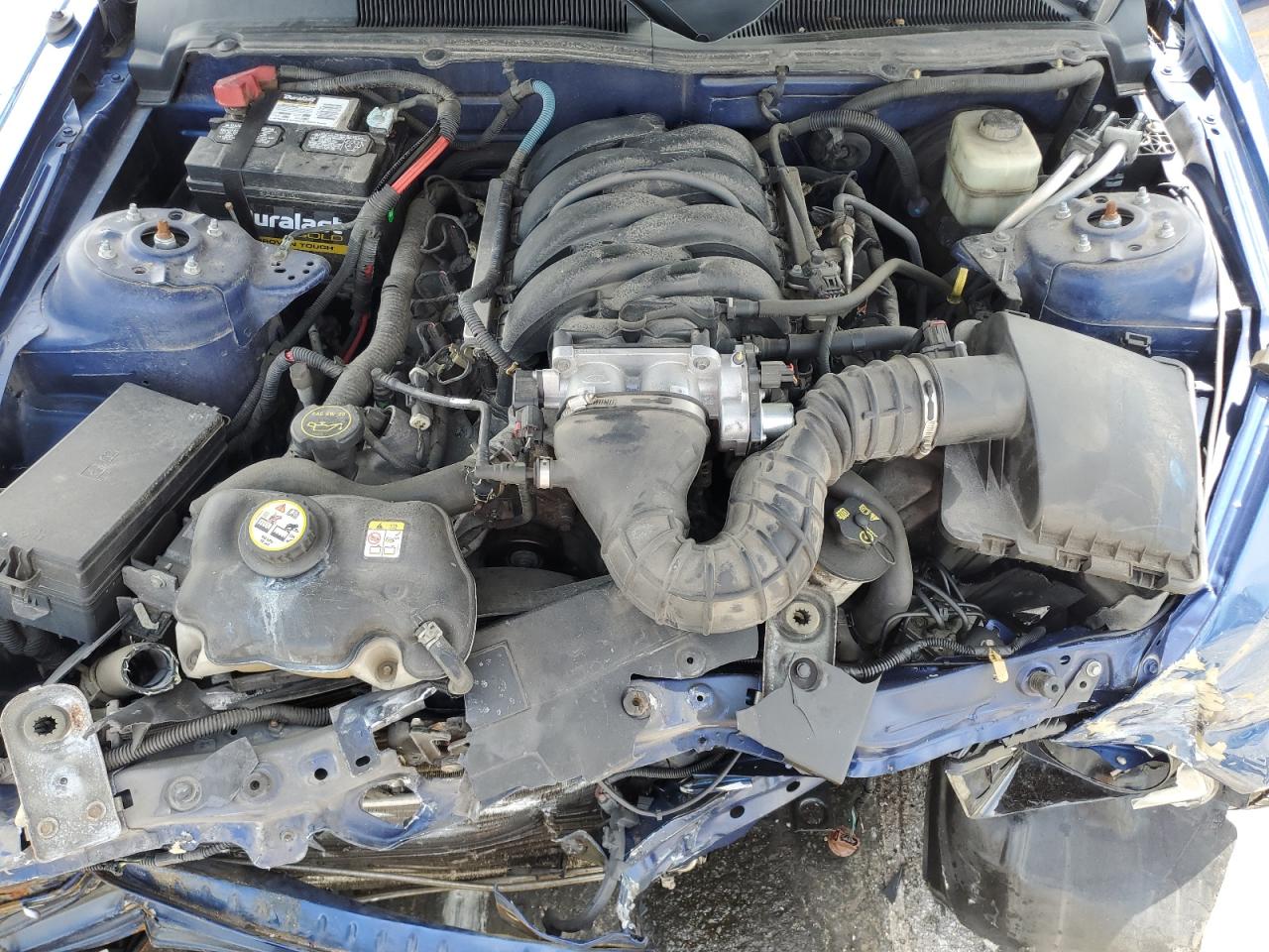 1ZVFT82H365223418 2006 Ford Mustang Gt