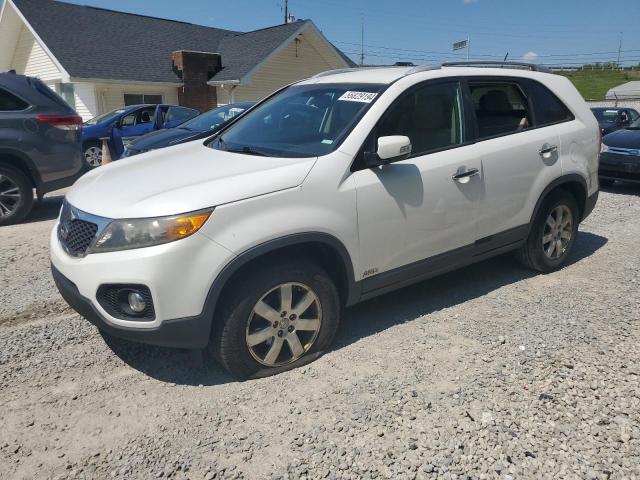 2011 Kia Sorento Base VIN: 5XYKTDA17BG155754 Lot: 55829194