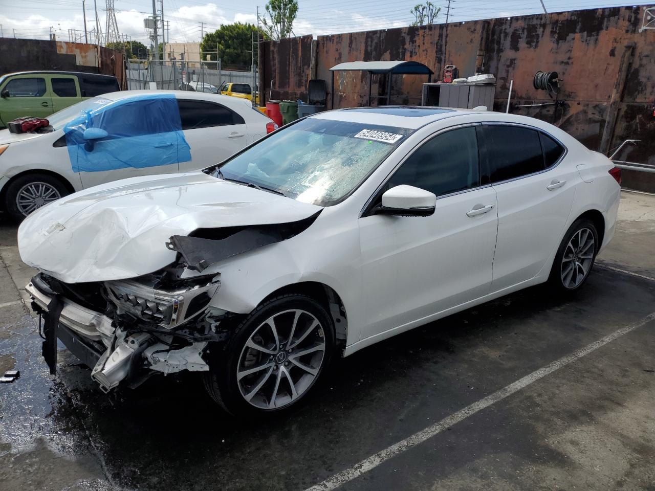 19UUB2F31KA010527 2019 Acura Tlx