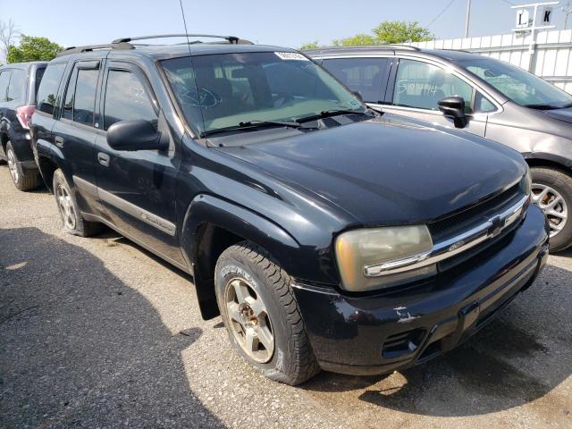 2004 Chevrolet Trailblazer Ls VIN: 1GNDT13S142273381 Lot: 56013164