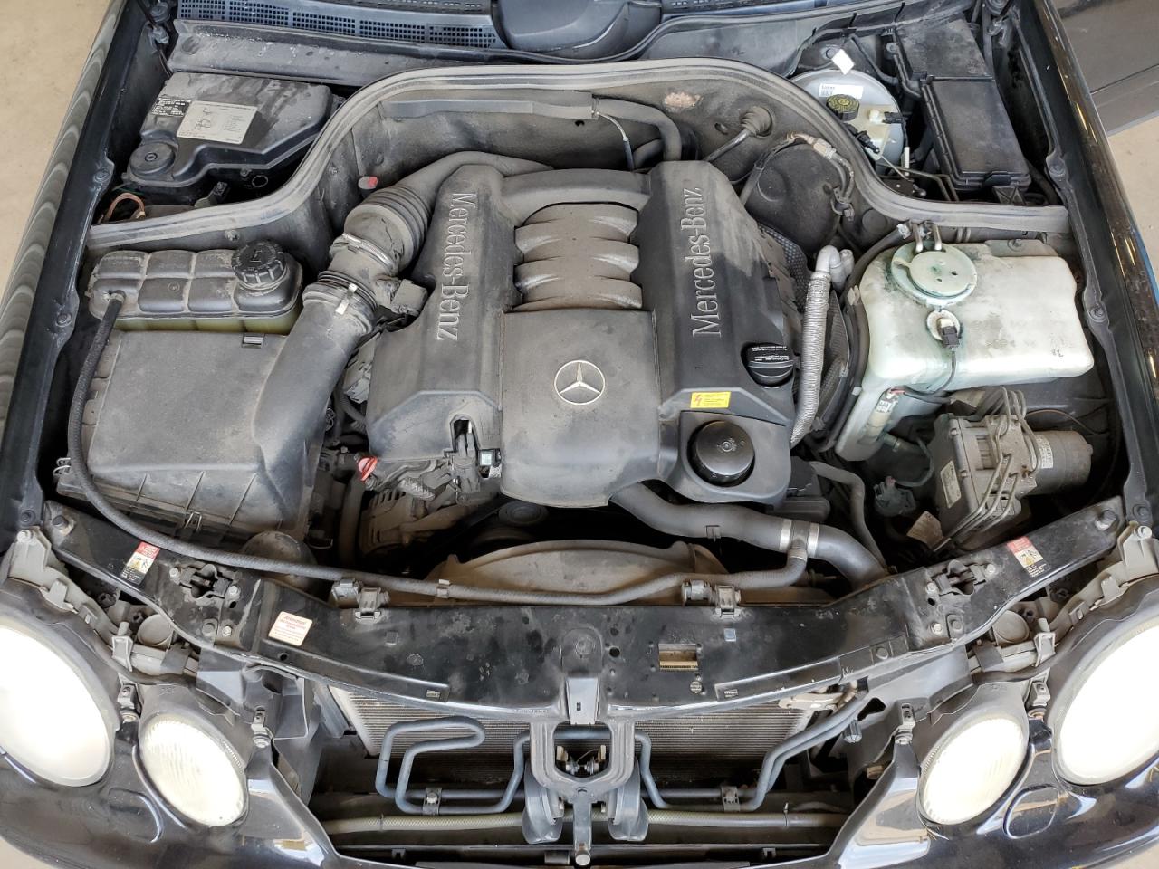 WDBLK65G8XT004191 1999 Mercedes-Benz Clk 320