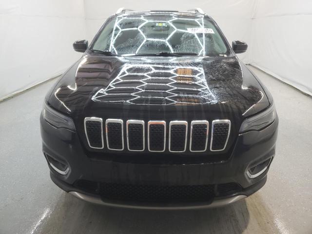 2019 Jeep Cherokee Limited VIN: 1C4PJMDX4KD355999 Lot: 55566394