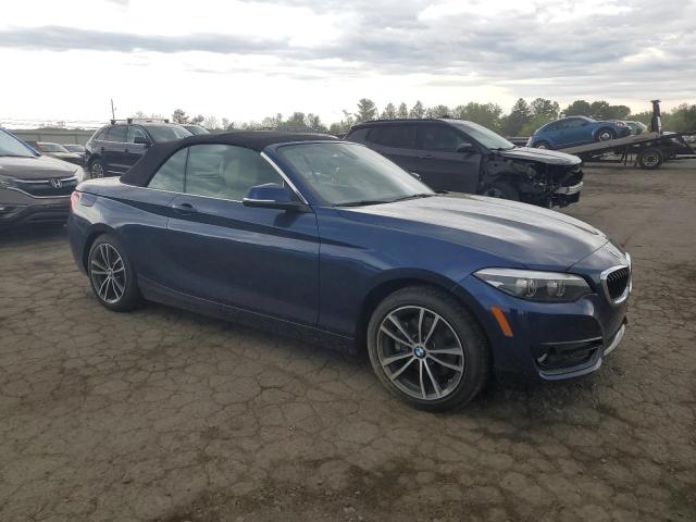 2019 BMW 230Xi VIN: WBA2K1C55K7D46751 Lot: 56093404