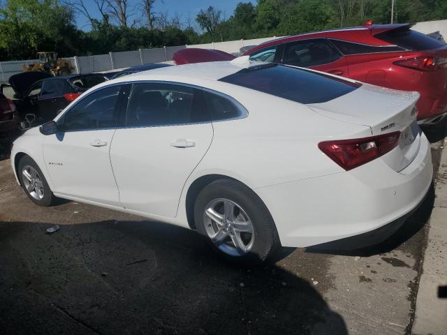 2024 Chevrolet Malibu Lt VIN: 1G1ZD5ST5RF179266 Lot: 56582924