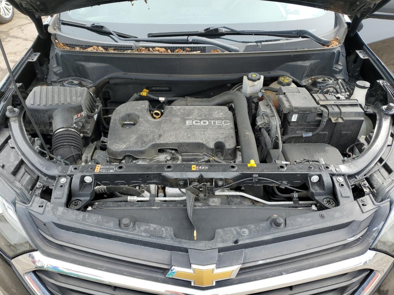 2GNAXHEV3K6185598 2019 Chevrolet Equinox Ls