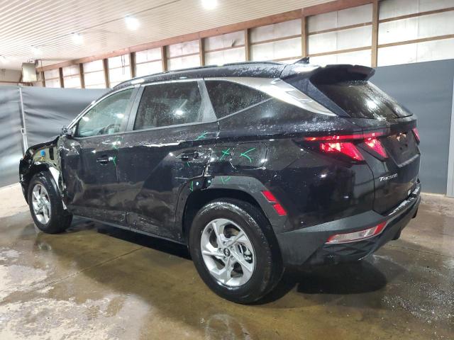 2024 Hyundai Tucson Sel VIN: 5NMJBCDE1RH395762 Lot: 56669244