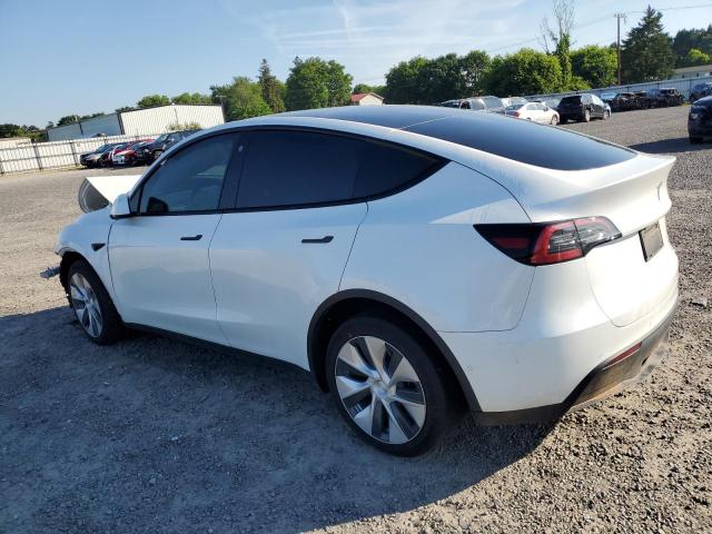 2021 Tesla Model Y VIN: 5YJYGDEE7MF300135 Lot: 54249574