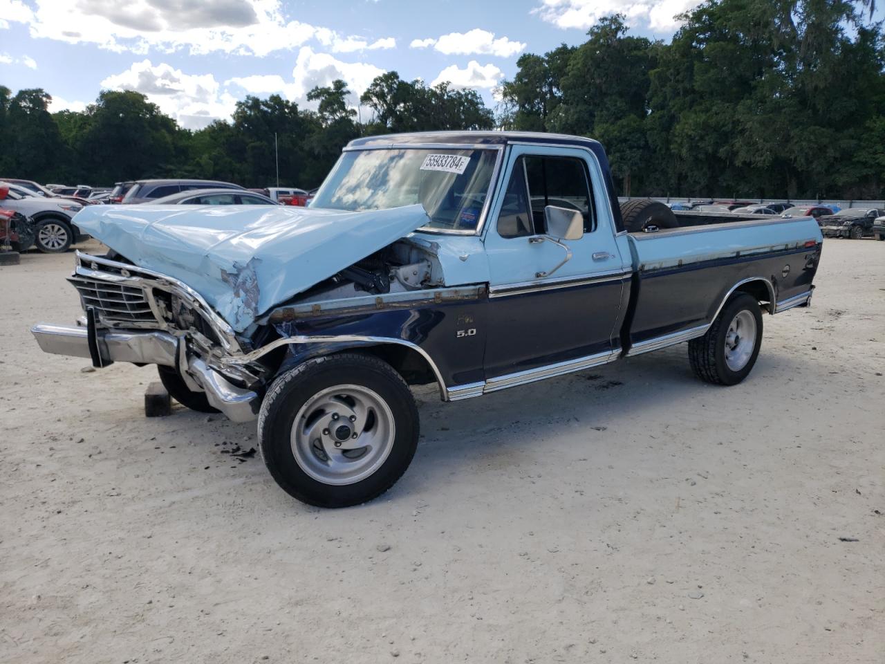 F10YNQ81985 1973 Ford F100